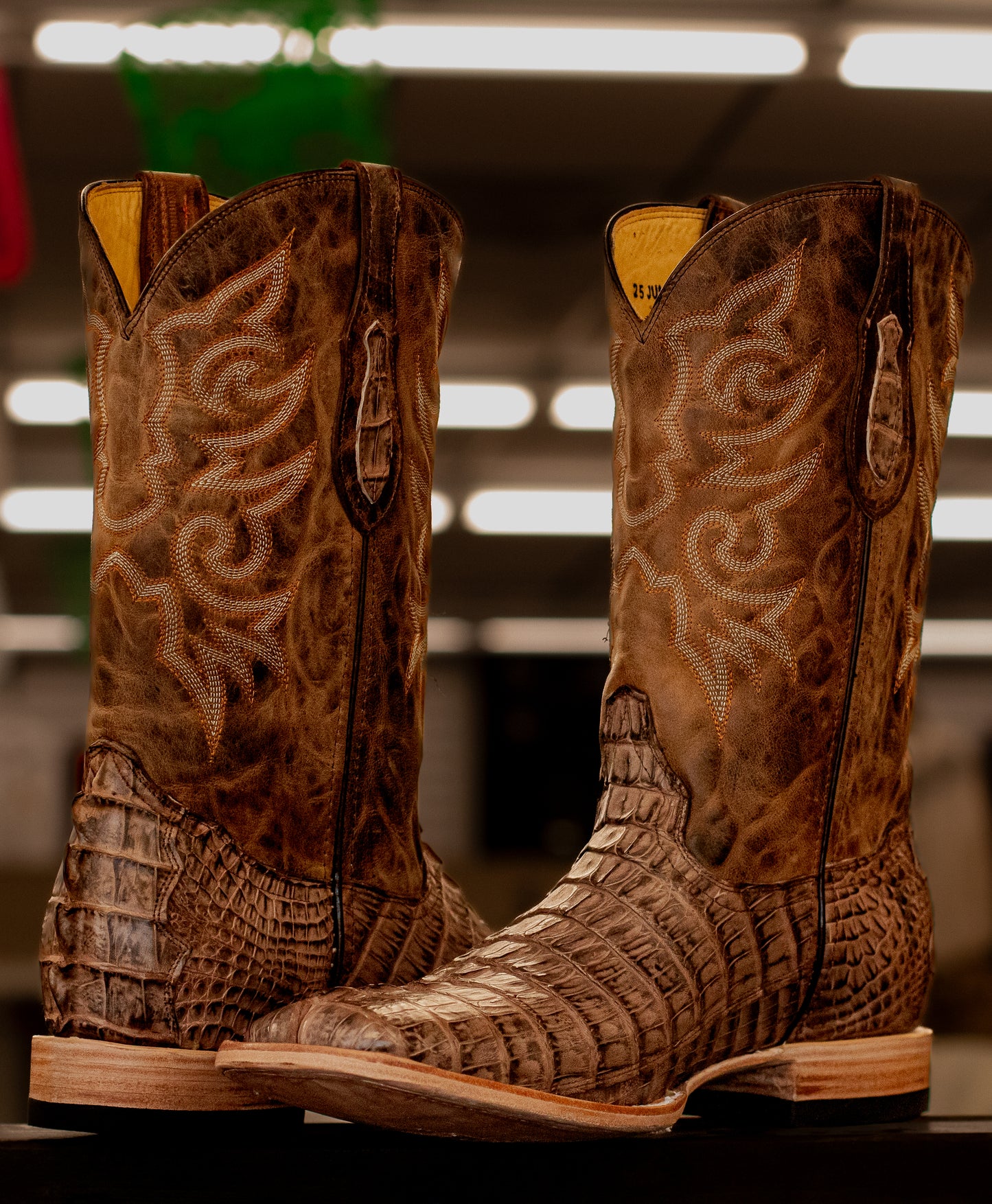 United Caiman Square Toe